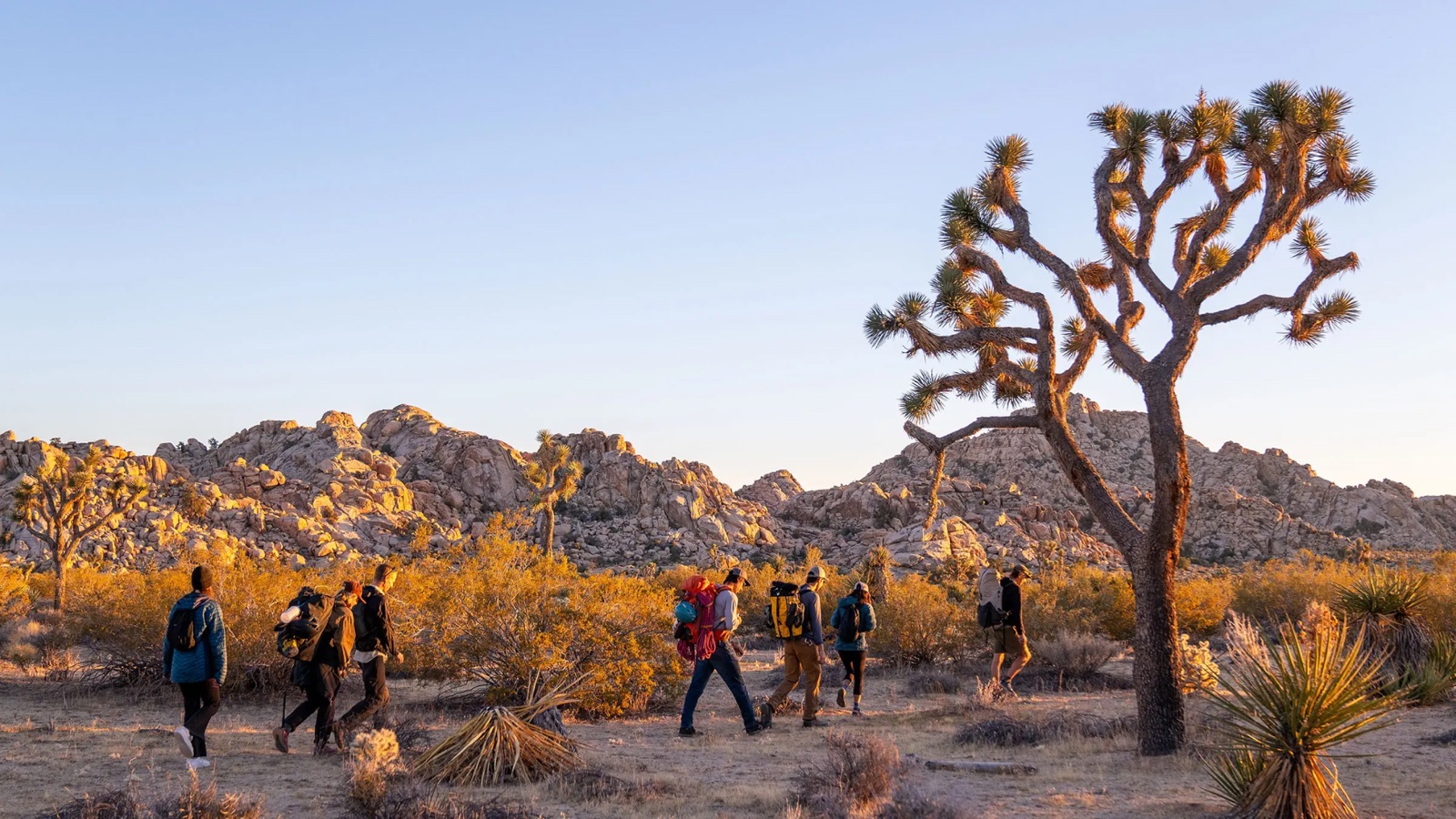Joshua Tree, Riverside County